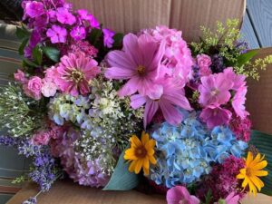 ASC Annual Plant Sale