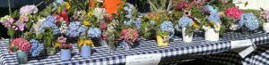 Beautiful flowers at the Annisquam Farmers' Market