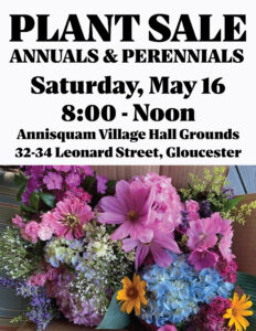 Spring Plant Sale